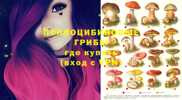 дурь Волосово