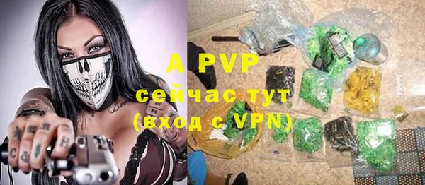 PSILOCYBIN Володарск