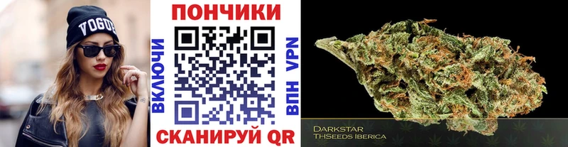 Конопля сатива  Лыткарино 